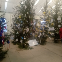 IMG_20200121_150416 IMG_20200121_150416