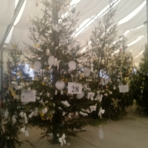 IMG_20200121_150431 IMG_20200121_150431